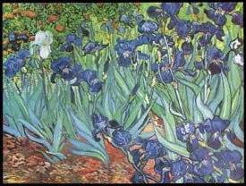 Vincent Van Gogh, plakat 80 x 60 cm.
