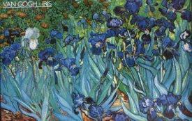 Vincent Van Gogh, plakat 120 x 80 cm.